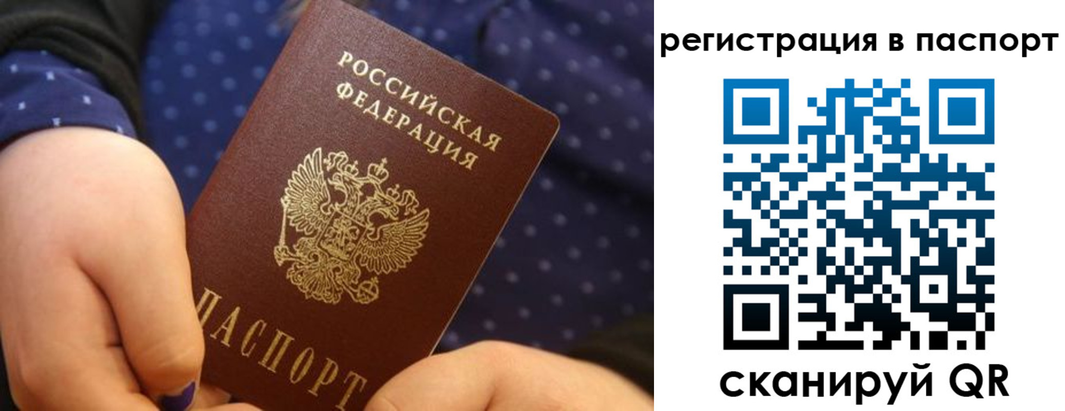 регистрация для дет. сада в Курской области
